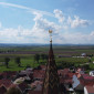 Wetterhahn Alerheim ©Mathis Trautsch, Deiningen